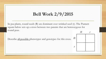 Bell Work 2/9/2015 In pea plants, round seeds (R) are dominant over wrinked seed (r). The Punnett square below sets up a cross between two parents that.