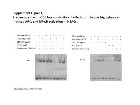 Supplement Figure 1, Pretreatment with GBE has no significant effects on chronic high-glucose- induced AP-1 and NF-  B activation in HEACs. Glucose (25.