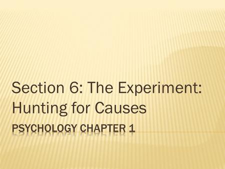 Section 6: The Experiment: Hunting for Causes