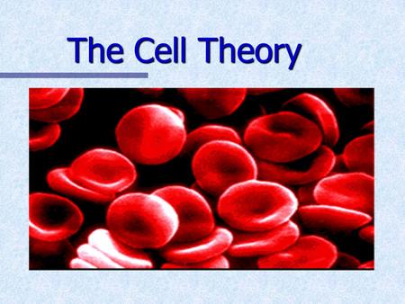 The Cell Theory The Cell Theory. Some Random Cell Facts The average human being is composed of around 100 Trillion individual cells!!! The average human.