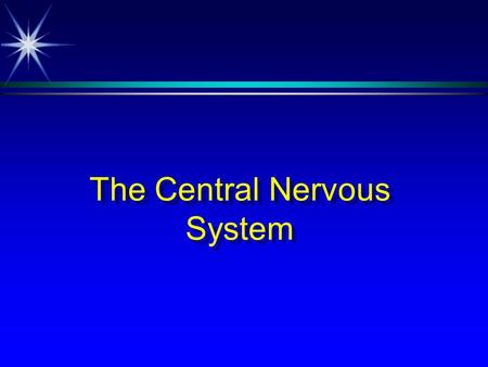 The Central Nervous System. Neuron è The basic functional unit of the CNS è Exhibits excitability è Exhibits conductivity.