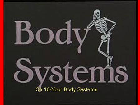 Ch 16-Your Body Systems. What Do I Expect Explain the functions of the skeletal systems Identify four types of joints List some problem of the skeletal.