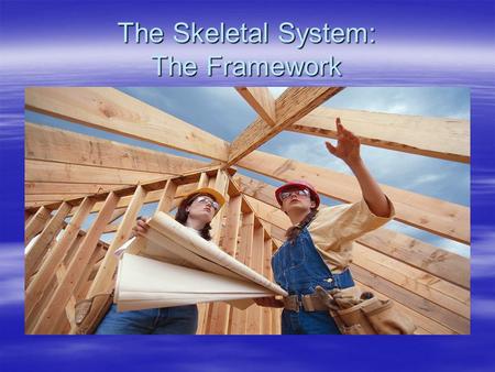 The Skeletal System: The Framework. 3 Main Purposes of the Skelton 3 main purposes To shape and support your body To protect the organs To work with the.