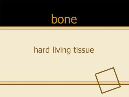 Hard living tissue bone. the group of bones that forms the frame for your body skeleton.