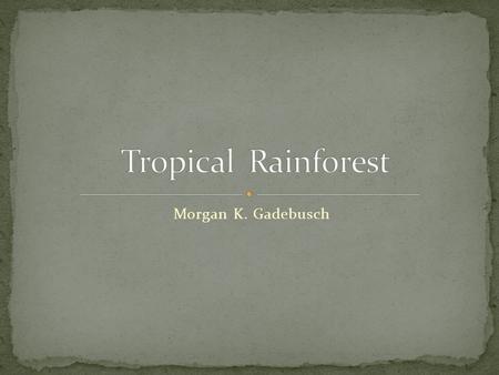Morgan K. Gadebusch. Millions of plants and animals live in the Rainforest ecosystem. Animals and plants form a food chain. Animals rely on trees and.