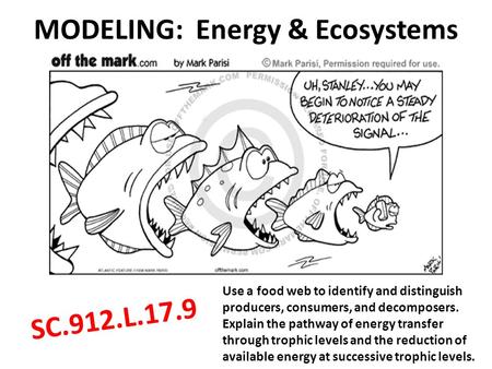 MODELING: Energy & Ecosystems SC.912.L.17.9 Use a food web to identify and distinguish producers, consumers, and decomposers. Explain the pathway of energy.