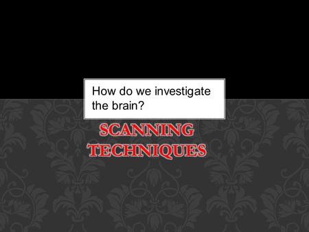 Methodology PET and MRI scanning How do we investigate the brain?