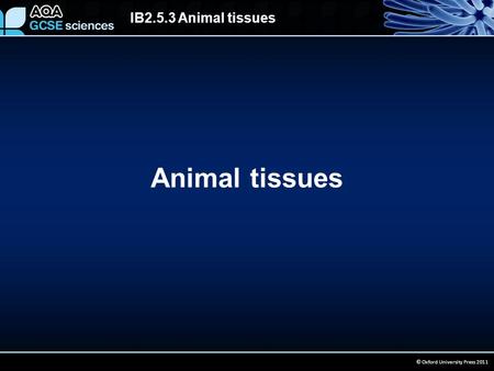 IB2.5.3 Animal tissues © Oxford University Press 2011 Animal tissues.