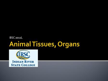 BSC 2011L.  Cells → Tissues → Organ → Organ systems → Individual.