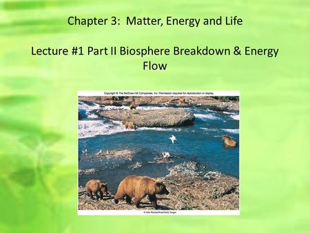 Chapter 3: Matter, Energy and Life Lecture #1 Part II Biosphere Breakdown & Energy Flow.