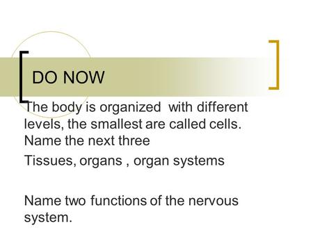 DO NOW The body is organized with different levels, the smallest are called cells. Name the next three Tissues, organs , organ systems Name two functions.