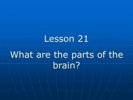 What are the parts of the brain?