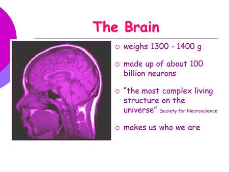 The Brain  weighs 1300 - 1400 g  made up of about 100 billion neurons  “the most complex living structure on the universe” Society for Neuroscience.