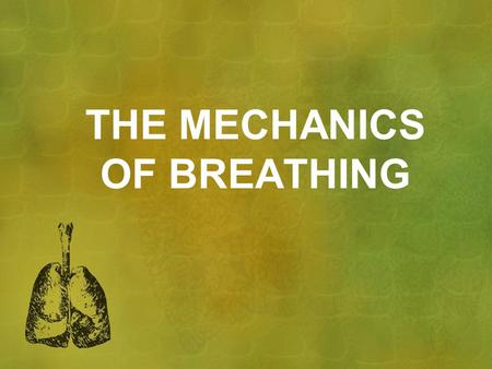THE MECHANICS OF BREATHING