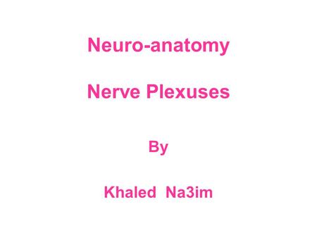 Neuro-anatomy Nerve Plexuses