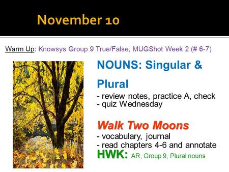 November 10 NOUNS: Singular & Plural Walk Two Moons