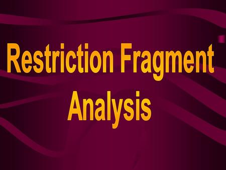 What is restriction fragment analysis? Restriction fragment analysis is a process used to compare the DNA of two or more different organisms.