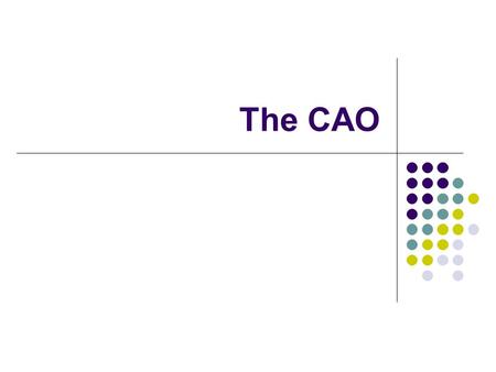 The CAO. The Choosing a Course Course Choice Think about: Skills Interest Career l Informed decisions ensurerightresults l Informed decisions ensure right.