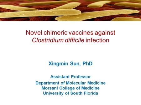 Novel chimeric vaccines against Clostridium difficile infection