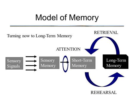 Model of Memory Turning now to Long-Term Memory Sensory Signals Sensory Memory Short-Term Memory Long-Term Memory ATTENTION REHEARSAL RETRIEVAL.