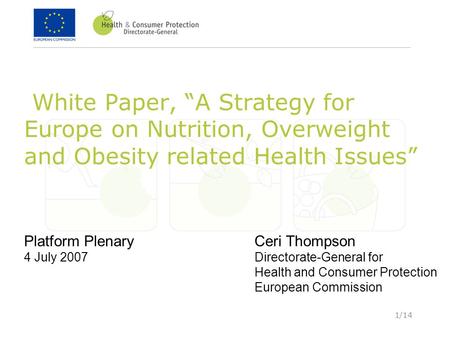 1/14 White Paper, “A Strategy for Europe on Nutrition, Overweight and Obesity related Health Issues” Platform Plenary 4 July 2007 Ceri Thompson Directorate-General.