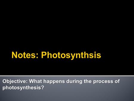 Objective: What happens during the process of photosynthesis?
