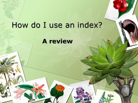 How do I use an index? A review. Where is the index located? In most reference books the index is located at the end of the book. In most non-fiction/