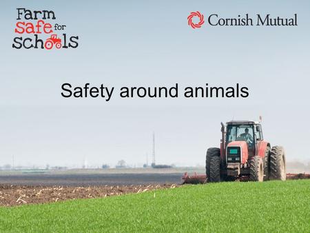 Safety around animals Listen to these noises and try to work out which animal makes that noise. Name that sound.