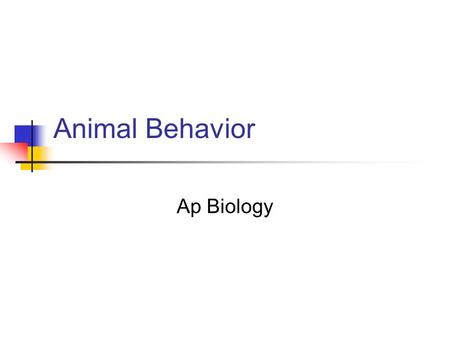 Animal Behavior Ap Biology.