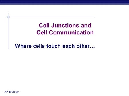 AP Biology Cell Junctions and Cell Communication Where cells touch each other…