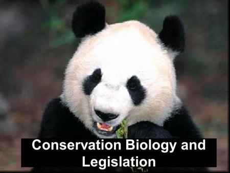Conservation Biology and Legislation