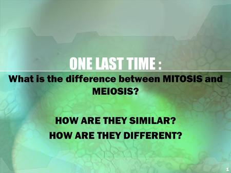 1 ONE LAST TIME : What is the difference between MITOSIS and MEIOSIS? HOW ARE THEY SIMILAR? HOW ARE THEY DIFFERENT?