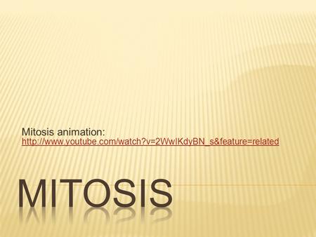 Mitosis animation: