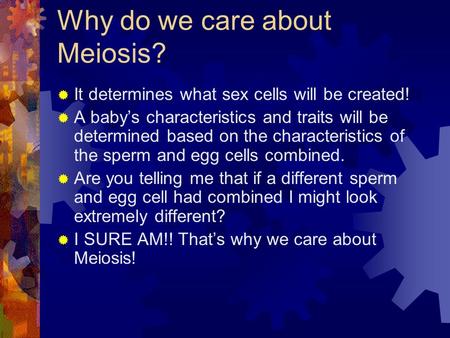 Why do we care about Meiosis?  It determines what sex cells will be created!  A baby’s characteristics and traits will be determined based on the characteristics.
