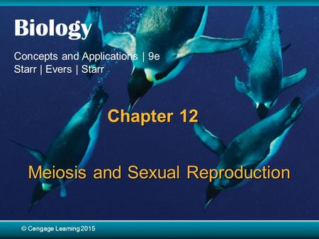 © Cengage Learning 2015 Biology Concepts and Applications | 9e Starr | Evers | Starr © Cengage Learning 2015 Chapter 12 Meiosis and Sexual Reproduction.