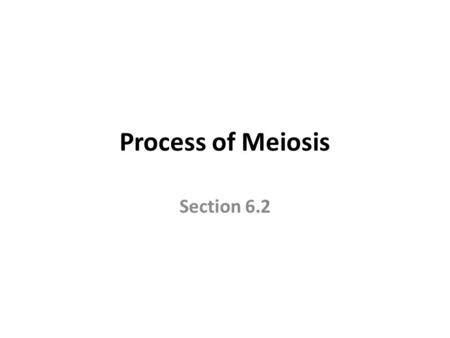 Process of Meiosis Section 6.2. Objectives SWBAT compare and contrast the two rounds of division in meiosis. SWBAT describe how haploid cells develop.