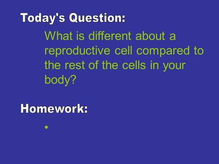 What is different about a reproductive cell compared to the rest of the cells in your body?