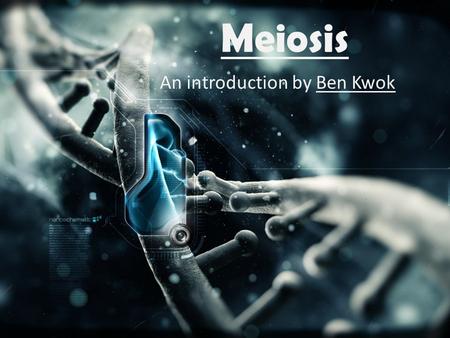 Meiosis An introduction by Ben Kwok Interphase I Like mitosis, meiosis is preceded by an Interphase. During this time, DNA replicates and each chromosome.