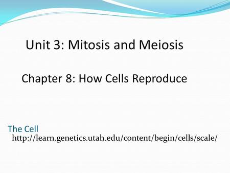The Cell  Unit 3: Mitosis and Meiosis Chapter 8: How Cells Reproduce.