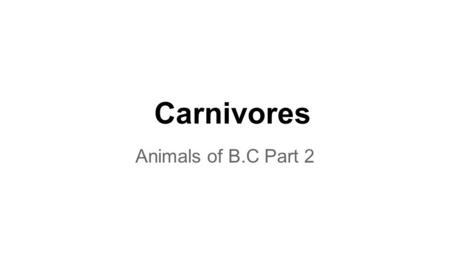 Carnivores Animals of B.C Part 2. Cat Like Describe the unique characteristics of a cat- like carnivore.