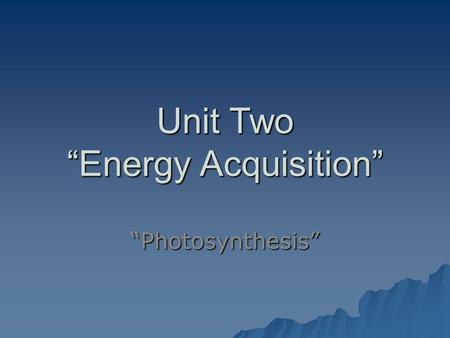 Unit Two “Energy Acquisition” “Photosynthesis”. The Sun and Plants  What makes life possible on Earth is the presence of a medium sized star, the Sun.
