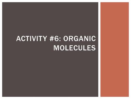 Activity #6: Organic Molecules