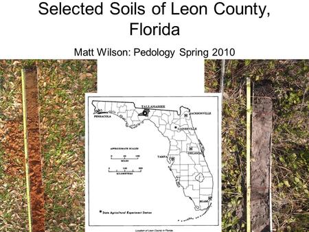 Selected Soils of Leon County, Florida Matt Wilson: Pedology Spring 2010.