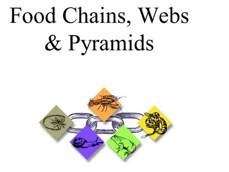Food Chains, Webs & Pyramids. _______factors in an ecosystem are factors that are living. ________factors in an ecosystem are factors that are not living.