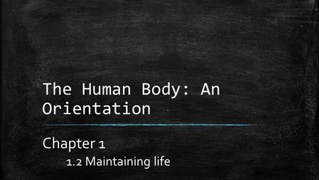 The Human Body: An Orientation Chapter 1 1.2 Maintaining life.