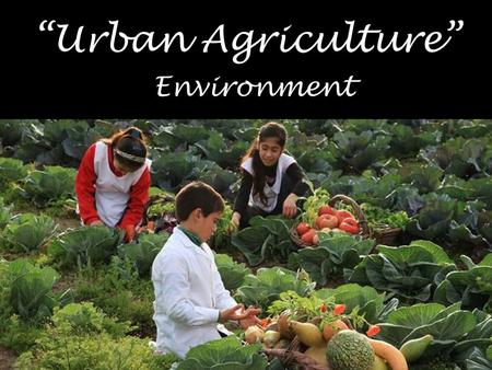 “Urban Agriculture” Environment. Definition Is the agricultural and livestock practice of growing and cultivating healthy and non- modified food in densely.