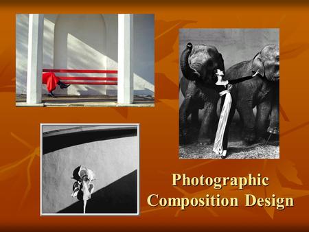 Photographic Composition Design. If the original viewpoint concept is not right all technical procedures have small meaning-Ansel Adams.