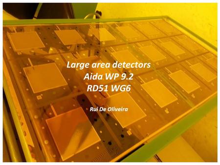 Large area detectors Aida WP 9.2 RD51 WG6