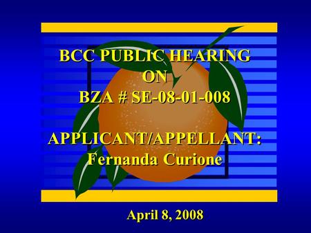 April 8, 2008 BCC PUBLIC HEARING ON BZA # SE-08-01-008 APPLICANT/APPELLANT: Fernanda Curione.