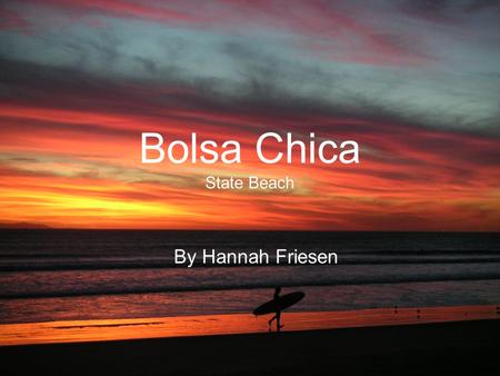 Bolsa Chica State Beach By Hannah Friesen. Bolsa Chica beach is a great place for fishing, hiking, swimming, surfing bird watching, and just plain camping.